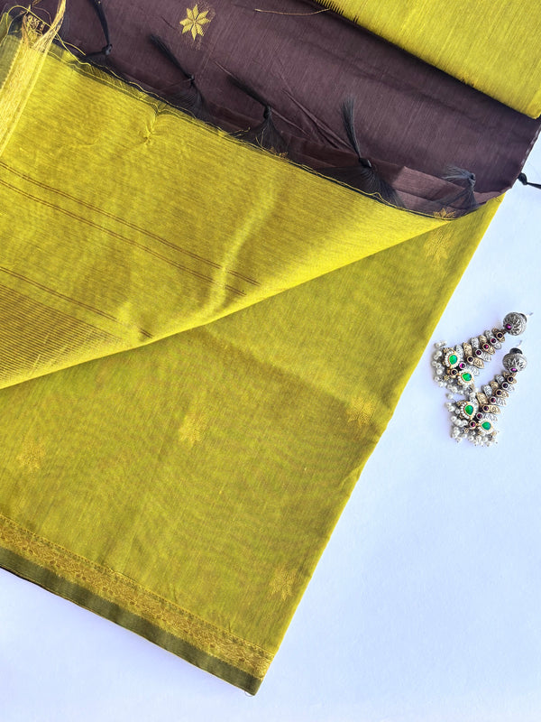 Maheshwari - Brown/Green Maheshwari Silk- Cotton Saree