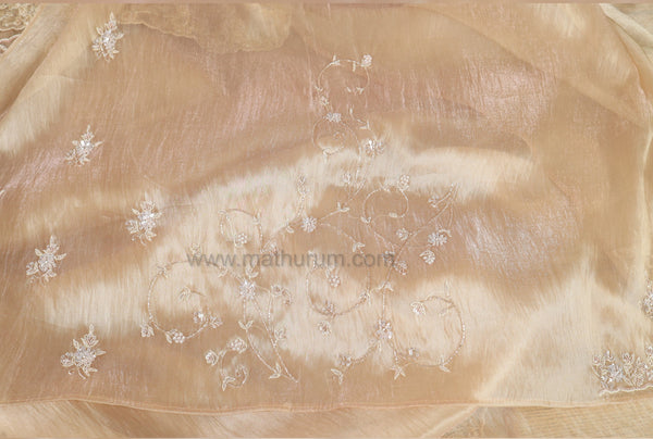 Glam & Glitzs - DESIGNER SAREE