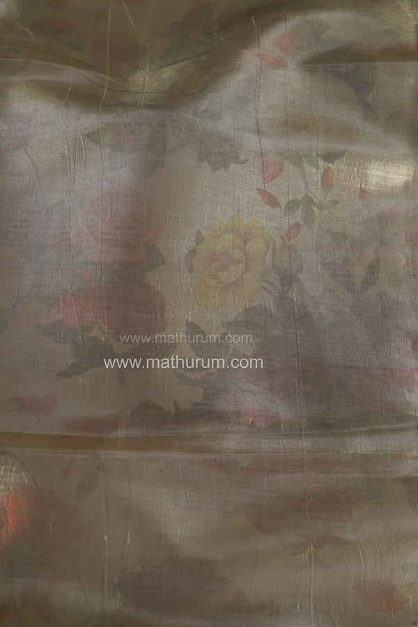 Golden Toast - DESIGNER SAREE