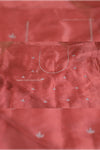 Blush & Bash - DESIGNER SAREE