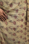 Naksha- Brown Chiffon Saree