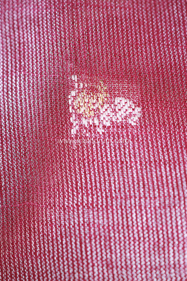Samira - Wine Saree