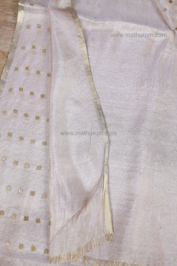 Elora Cream- DESIGNER SAREE