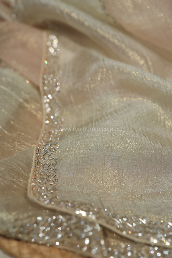 PASTEL PICNIC MULTICOLOR- DESIGNER SAREE